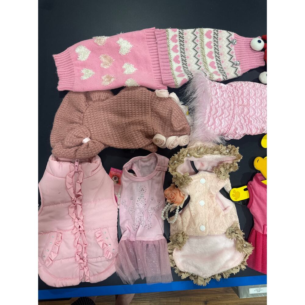 Collection of dog outfits